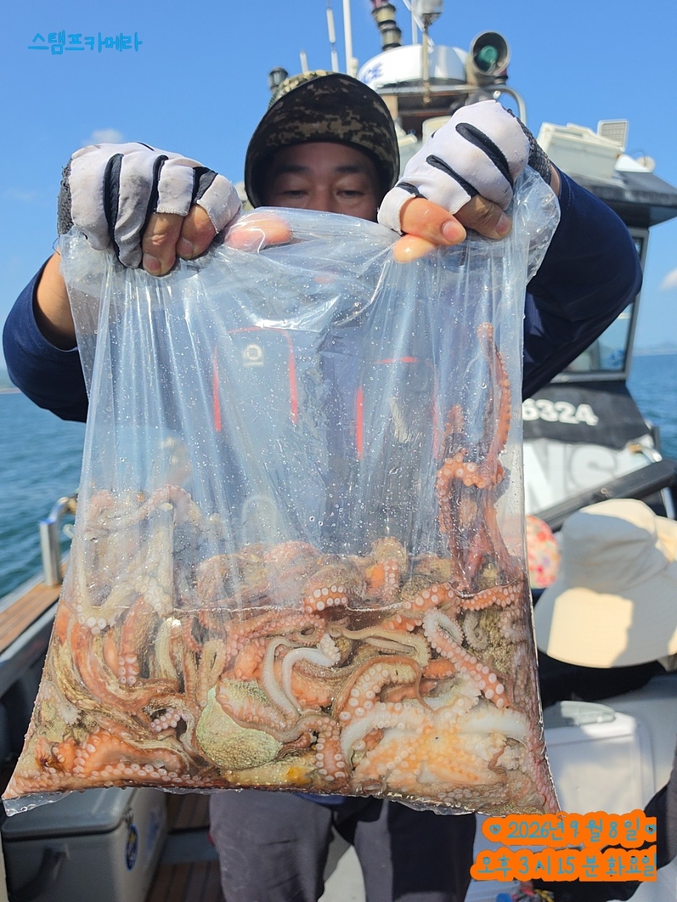 9월 8일 완도 문어 선상낚시 조황 현장 사진 8