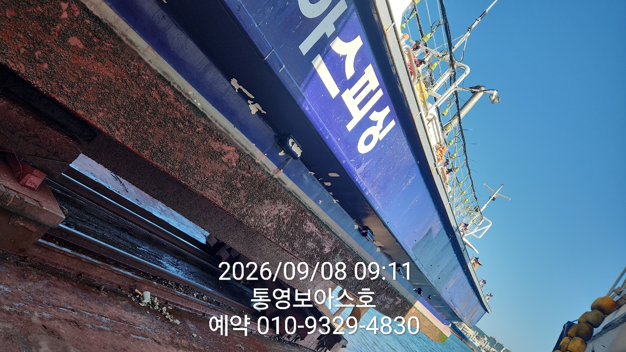 9월 8일 통영 갈치 선상낚시 조황 현장 사진 4