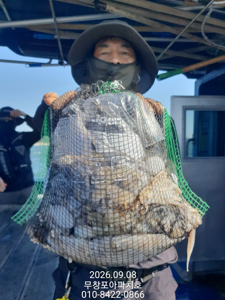 9월 8일 포항 주꾸미 선상낚시 조황 현장 사진 6