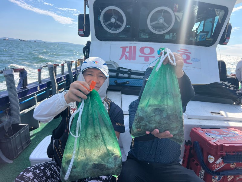 9월 8일 인천 갑오징어 선상낚시 조황 현장 사진 3