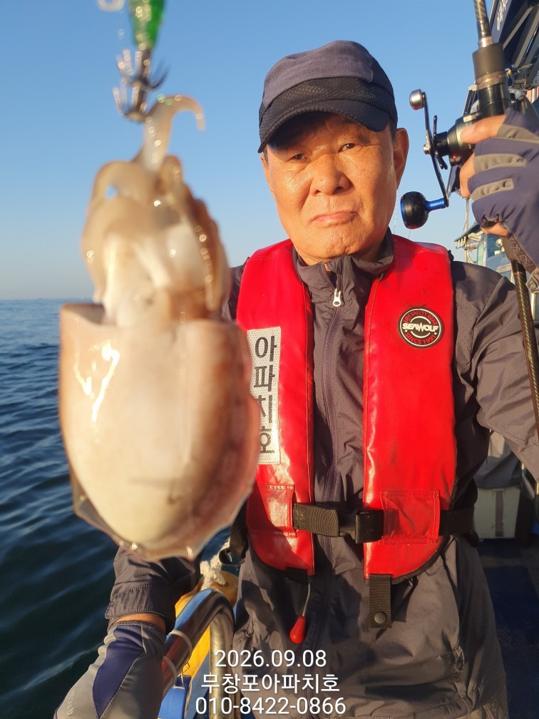 9월 8일 포항 주꾸미 선상낚시 조황 현장 사진 18