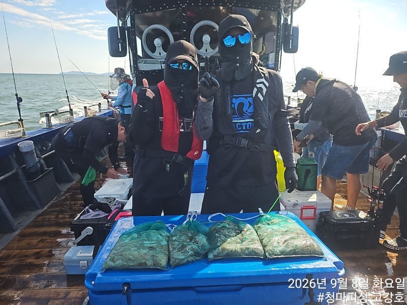 9월 8일 인천 갑오징어 선상낚시 조황 현장 사진 36