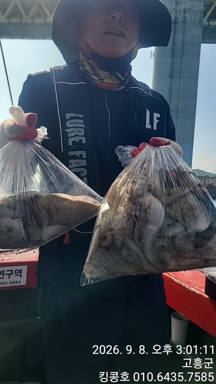 9월 8일 고흥 갑오징어 선상낚시 조황 현장 사진 7