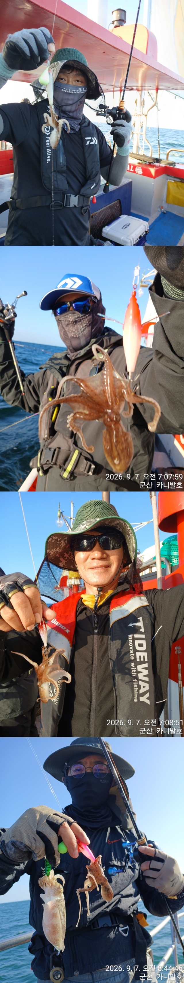 9월 9일 군산 주꾸미 선상낚시 조황 현장 사진 4