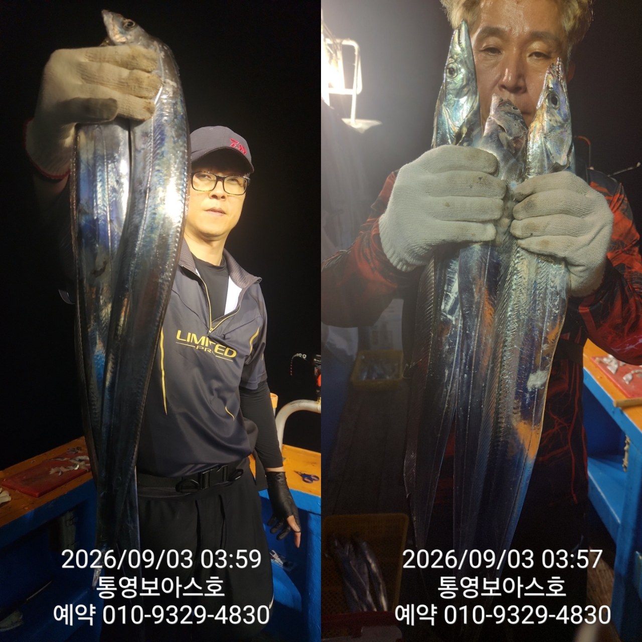 9월 8일 통영 갈치 선상낚시 조황 현장 사진 10