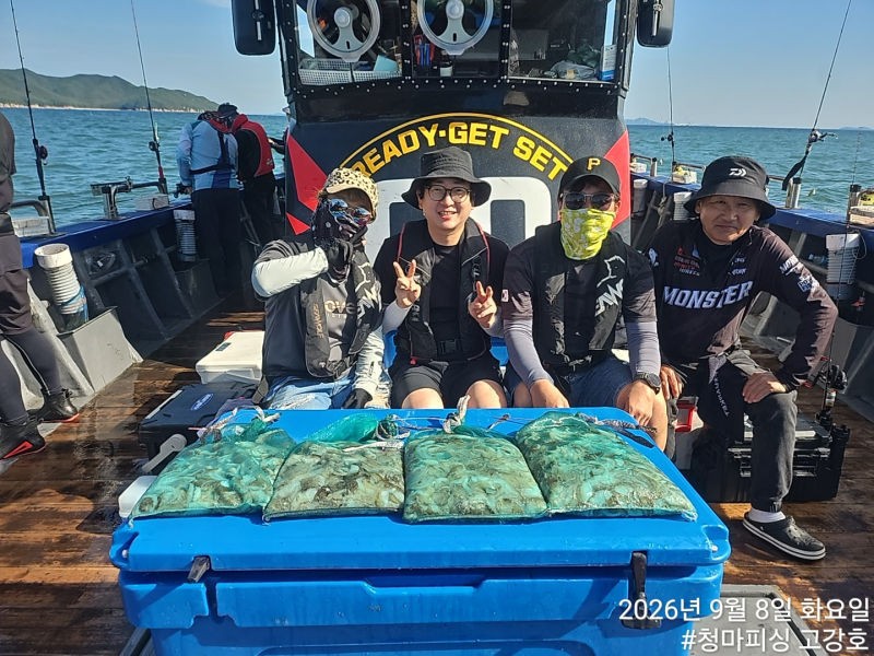 9월 8일 인천 갑오징어 선상낚시 조황 현장 사진 33