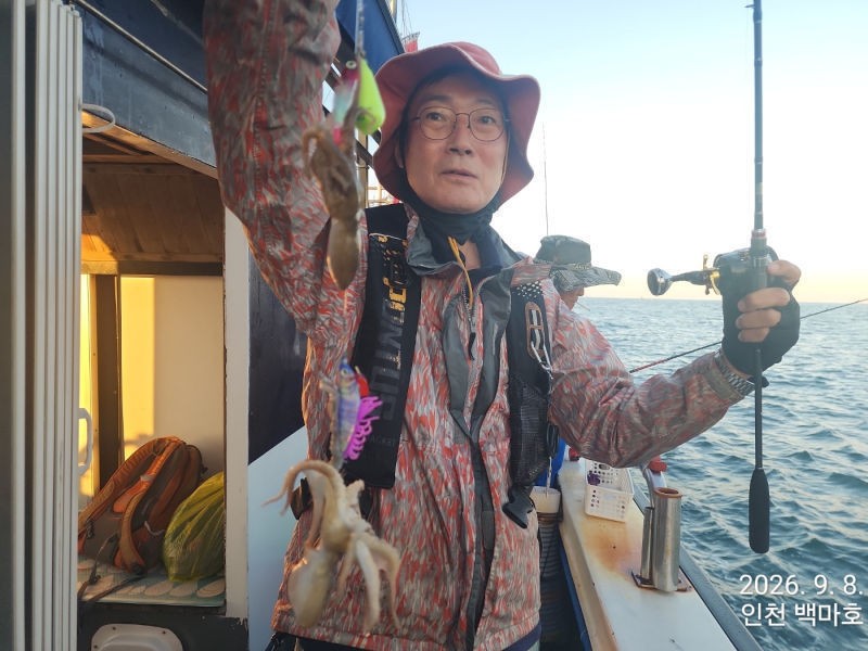 9월 8일 인천 갑오징어 선상낚시 조황 현장 사진 45