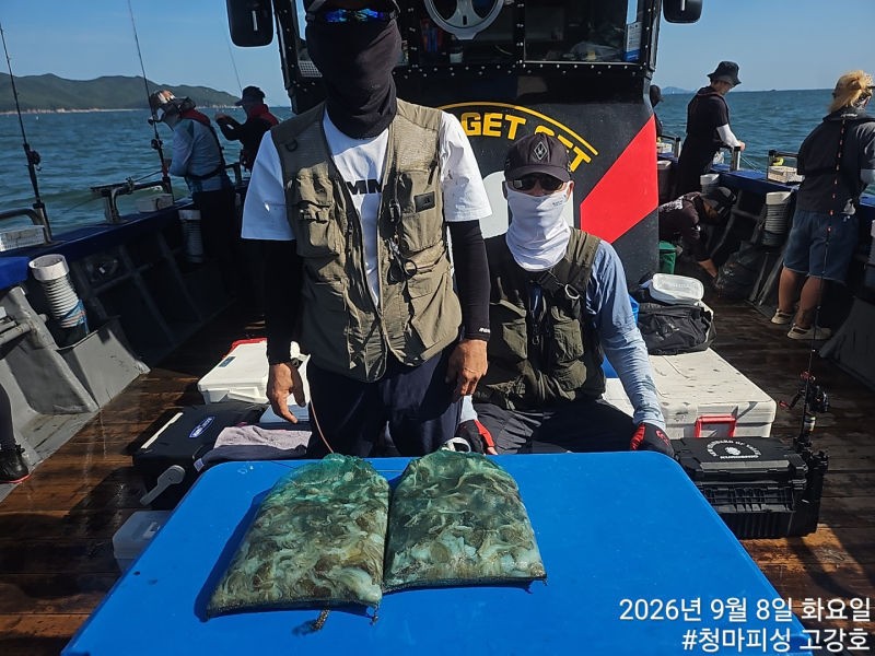 9월 8일 인천 갑오징어 선상낚시 조황 현장 사진 31