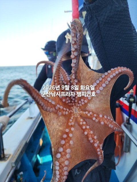 9월 8일 여수 문어 선상낚시 조황 현장 사진 6