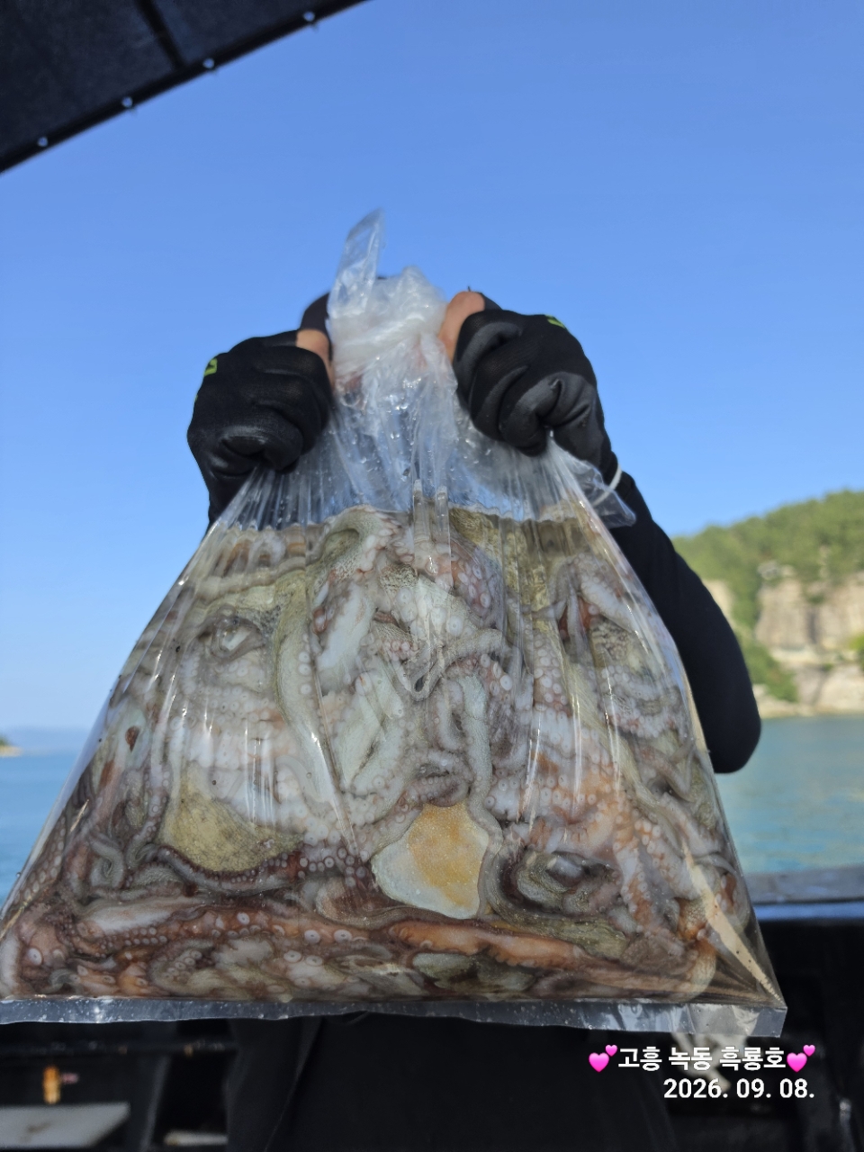 9월 8일 문어 선상낚시 조황 현장 사진 7