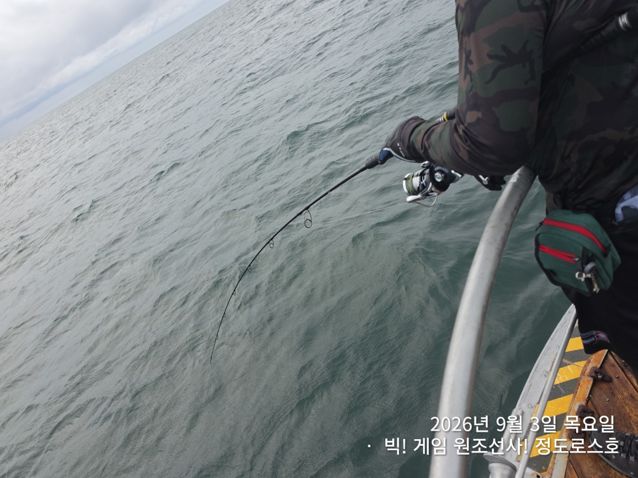 9월 8일 포항 무늬오징어 선상낚시 조황 현장 사진 3