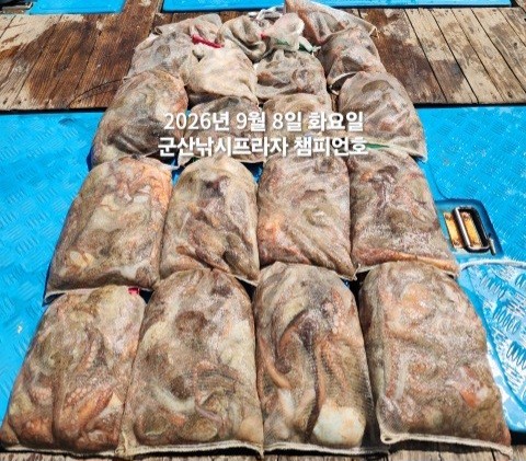 9월 8일 여수 문어 선상낚시 조황 현장 사진 2