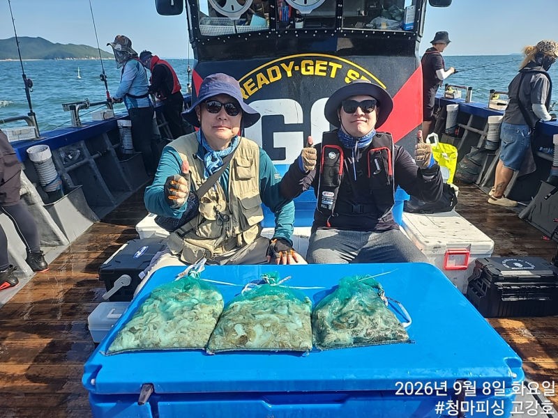 9월 8일 인천 갑오징어 선상낚시 조황 현장 사진 34