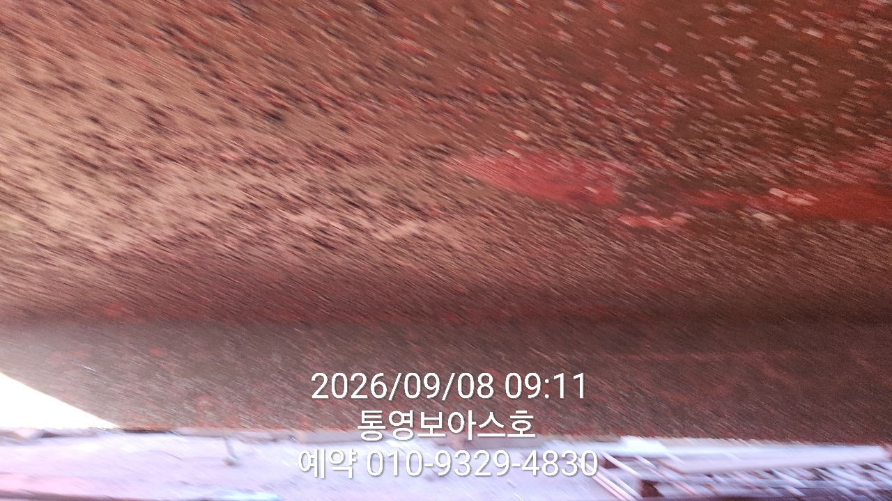 9월 8일 통영 갈치 선상낚시 조황 현장 사진 5