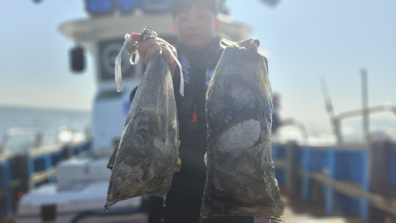 9월 8일 갑오징어 선상낚시 조황 현장 사진 3