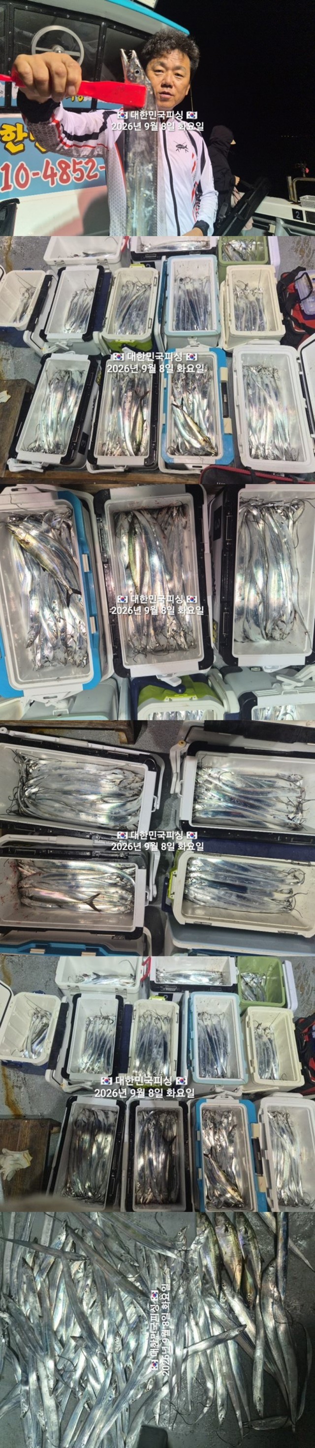 9월 8일 진해 갈치 선상낚시 조황 현장 사진 4