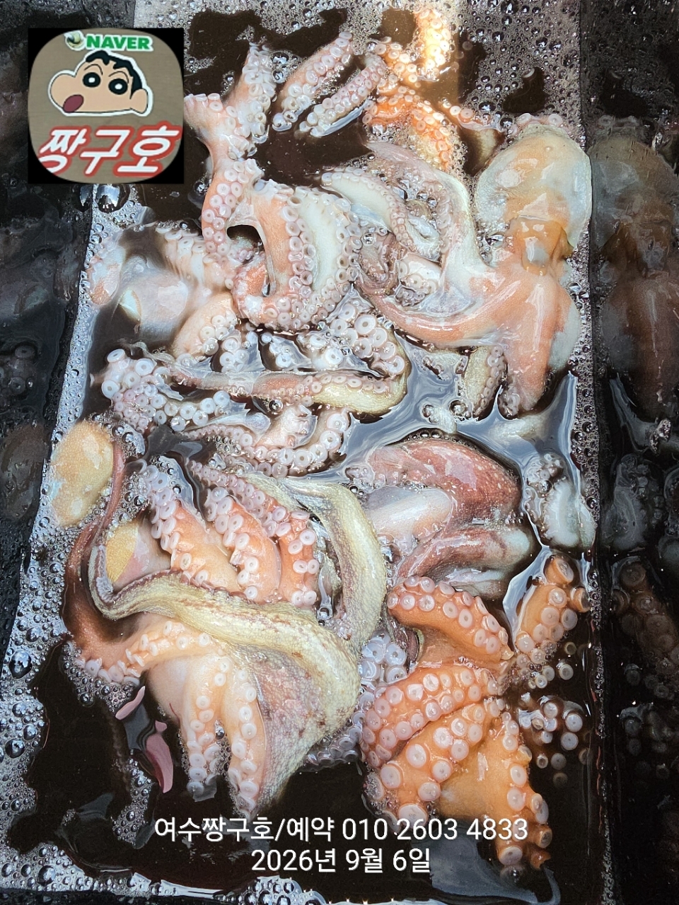 9월 8일 여수 문어 선상낚시 조황 현장 사진 7