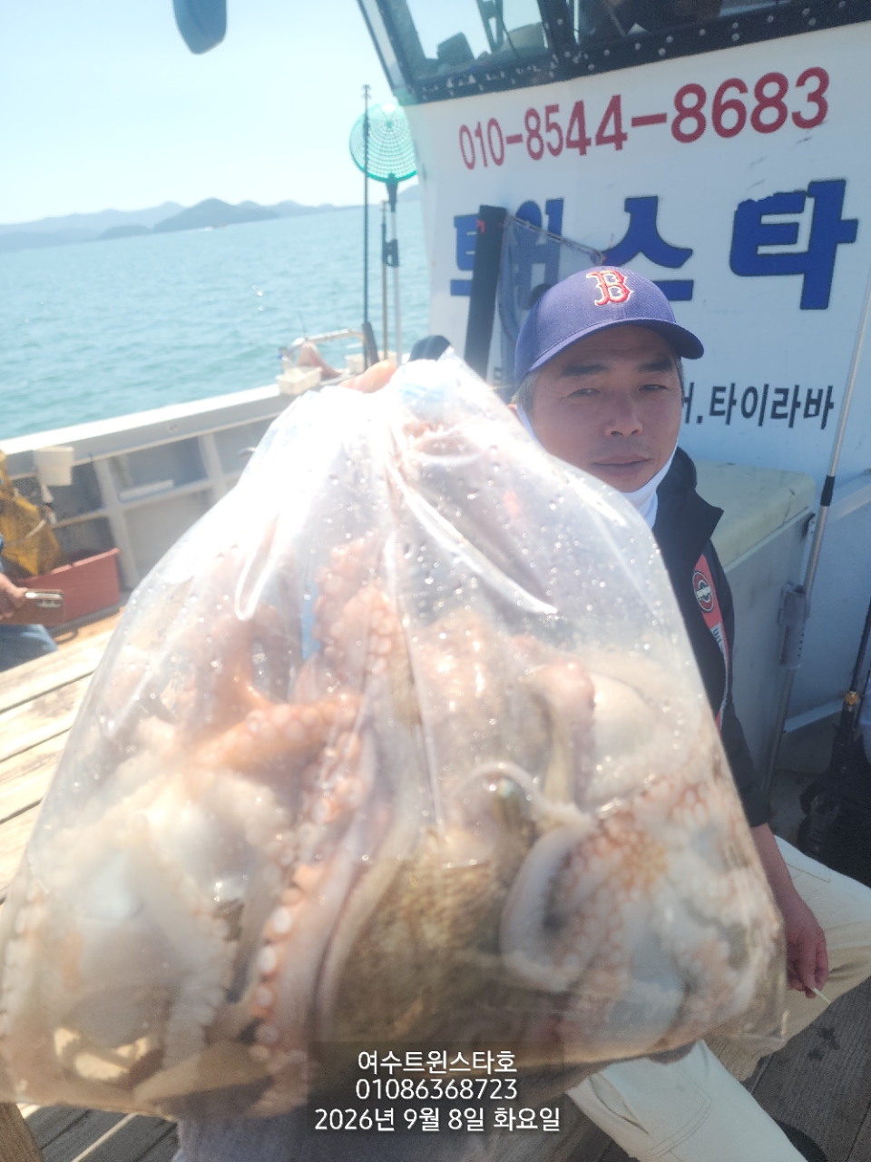 9월 8일 여수 문어 선상낚시 조황 현장 사진 17