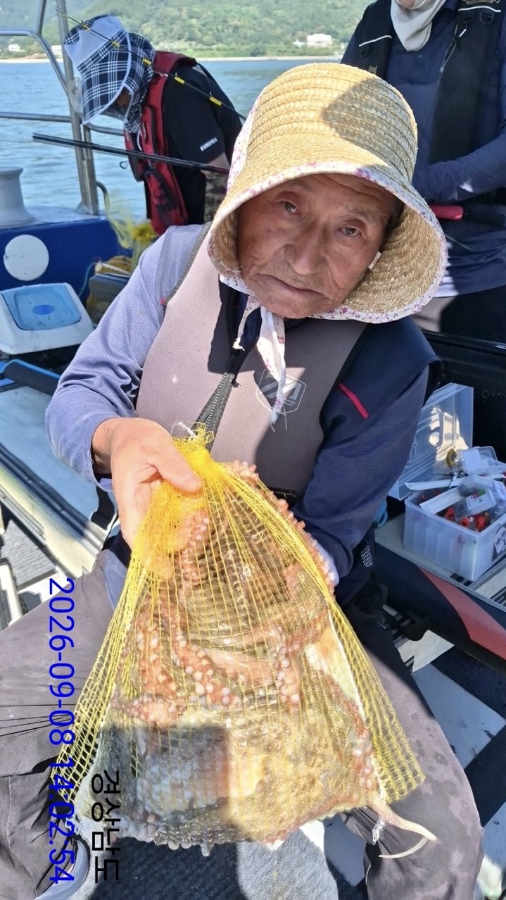 9월 8일 삼천포 문어 선상낚시 조황 현장 사진 4