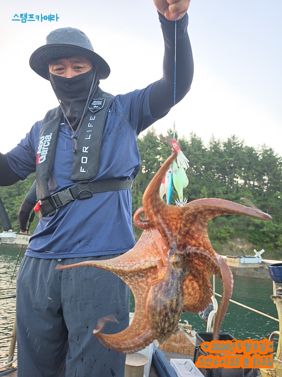 9월 8일 완도 문어 선상낚시 조황 현장 사진 17