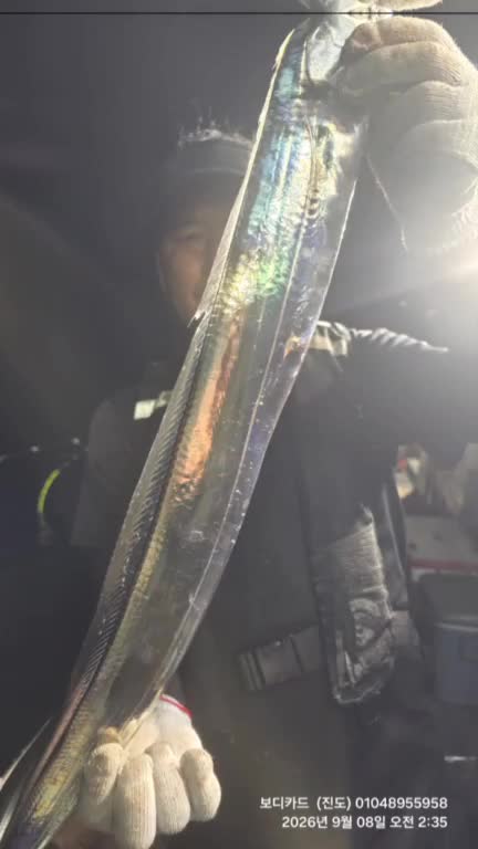 9월 8일 여수 갈치 선상낚시 조황 현장 사진 1
