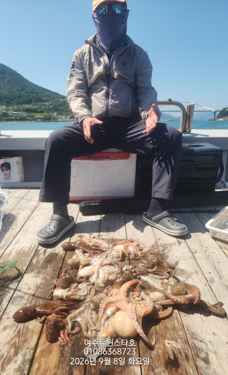 9월 8일 여수 문어 선상낚시 조황 현장 사진 3