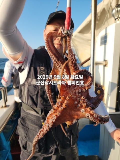 9월 8일 여수 문어 선상낚시 조황 현장 사진 7