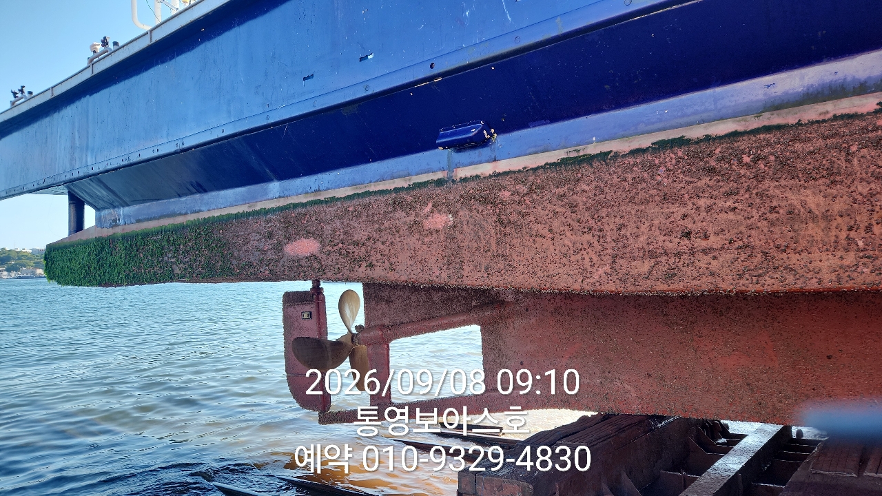 9월 8일 통영 갈치 선상낚시 조황 현장 사진 3