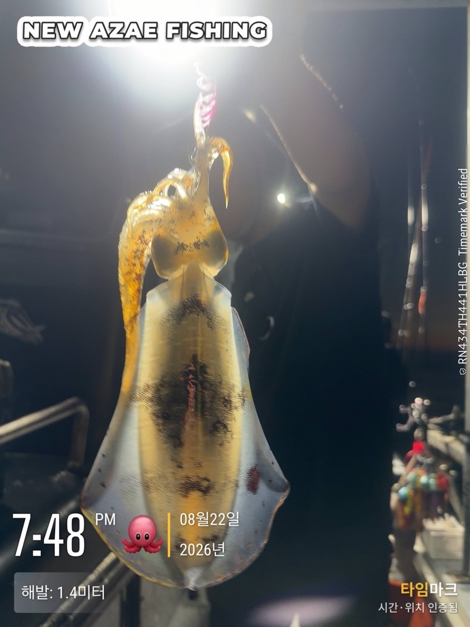 9월 8일 삼천포 무늬오징어 선상낚시 조황 현장 사진 3