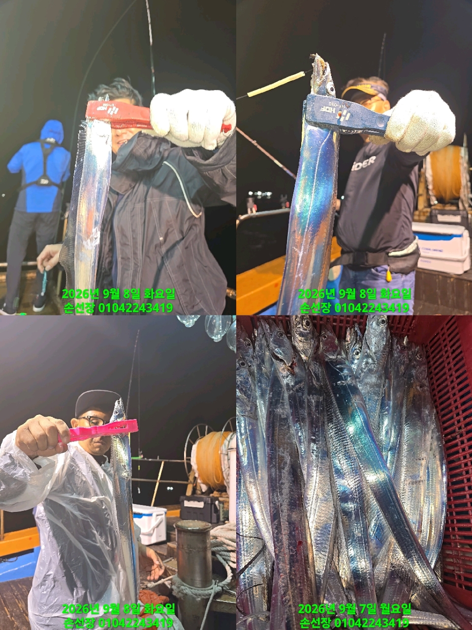 9월 9일 마산 갈치 선상낚시 조황 현장 사진 2
