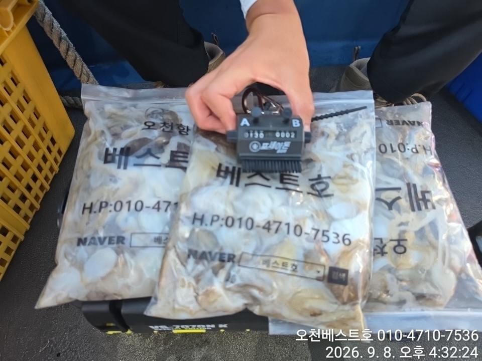 9월 8일 갑오징어 선상낚시 조황 현장 사진 8