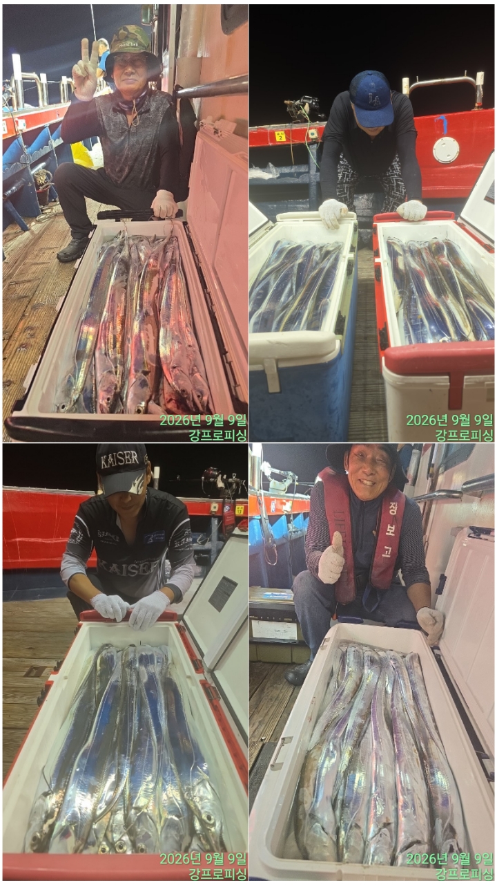 9월 8일 남해 갈치 선상낚시 조황 현장 사진 3