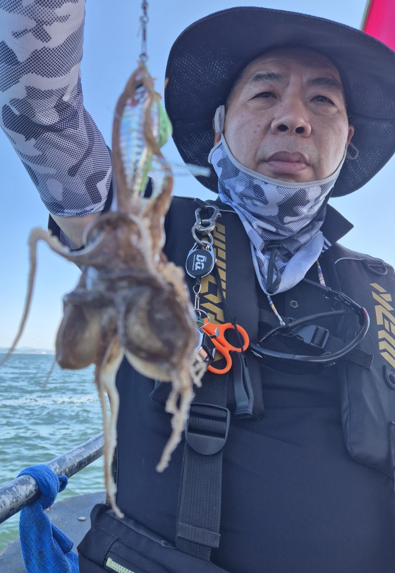 9월 8일 갑오징어 선상낚시 조황 현장 사진 16