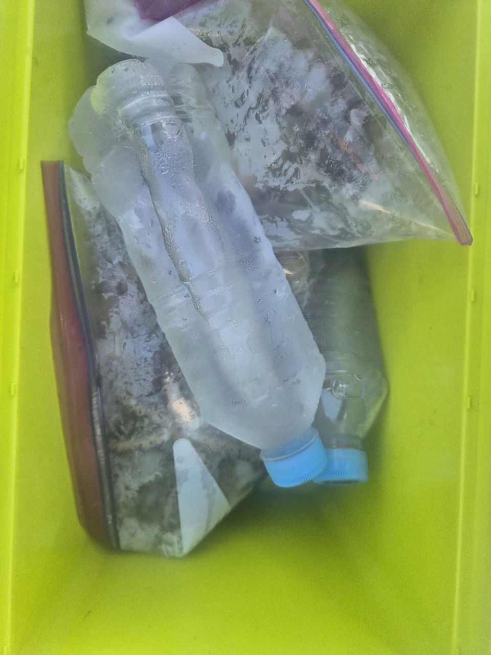 9월 8일 갑오징어 선상낚시 조황 현장 사진 9
