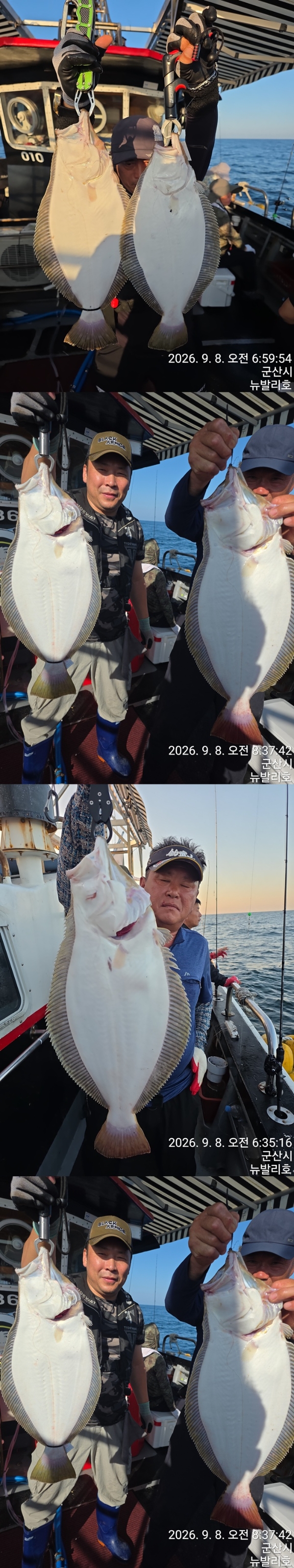 9월 9일 여수 주꾸미 선상낚시 조황 현장 사진 7