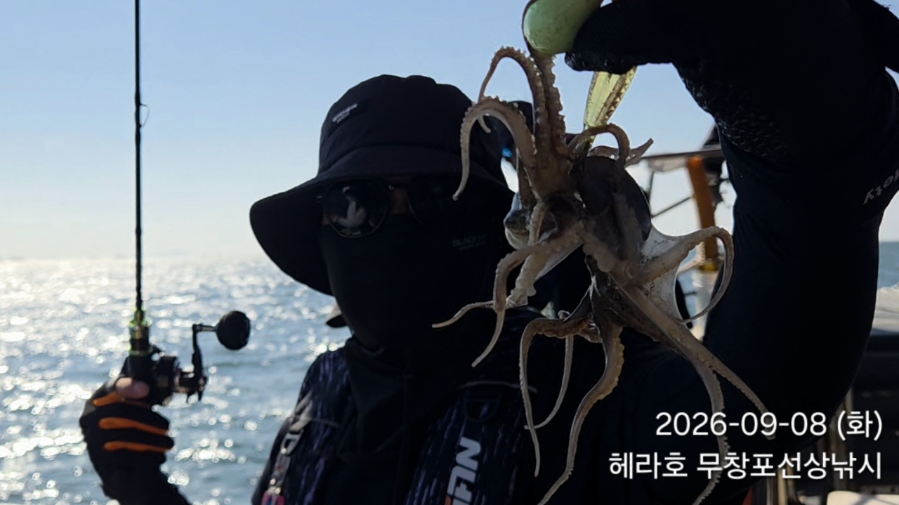 9월 8일 포항 주꾸미 선상낚시 조황 현장 사진 6