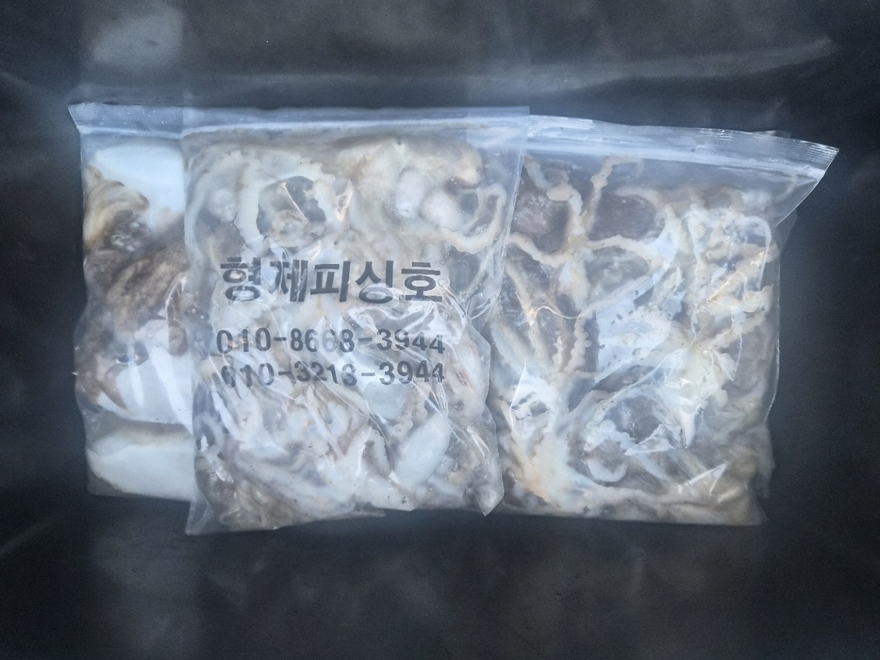 9월 8일 갑오징어 선상낚시 조황 현장 사진 3
