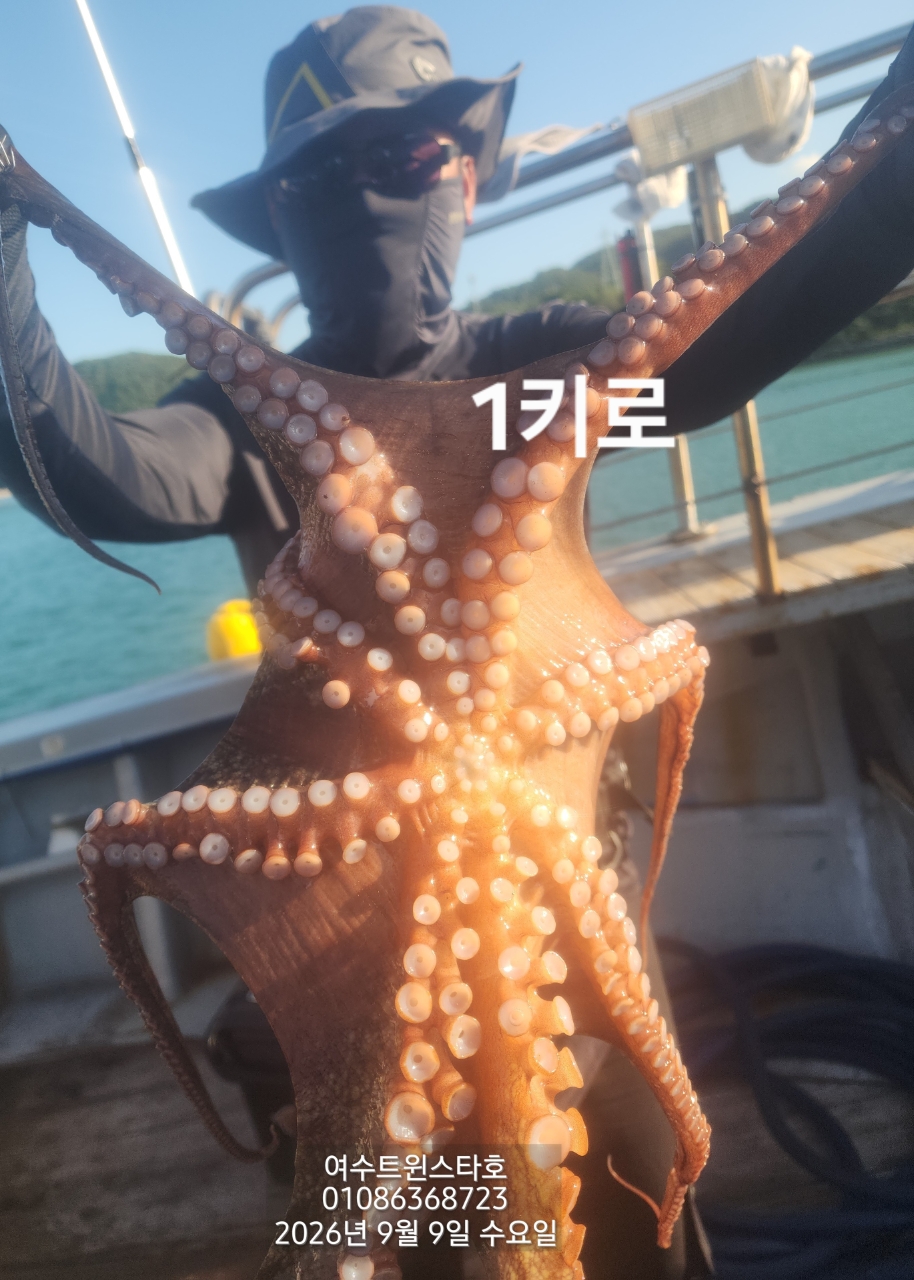 9월 9일 여수 문어 선상낚시 조황 현장 사진 2