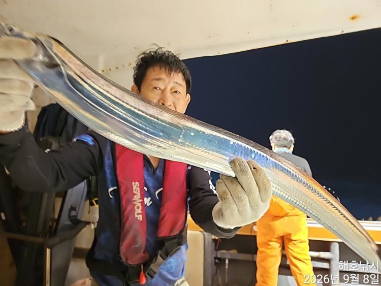 9월 9일 여수 갈치 선상낚시 조황 현장 사진 19