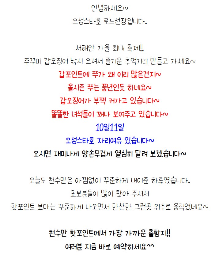 9월 9일 보령 갑오징어 선상낚시 조황 현장 사진 1