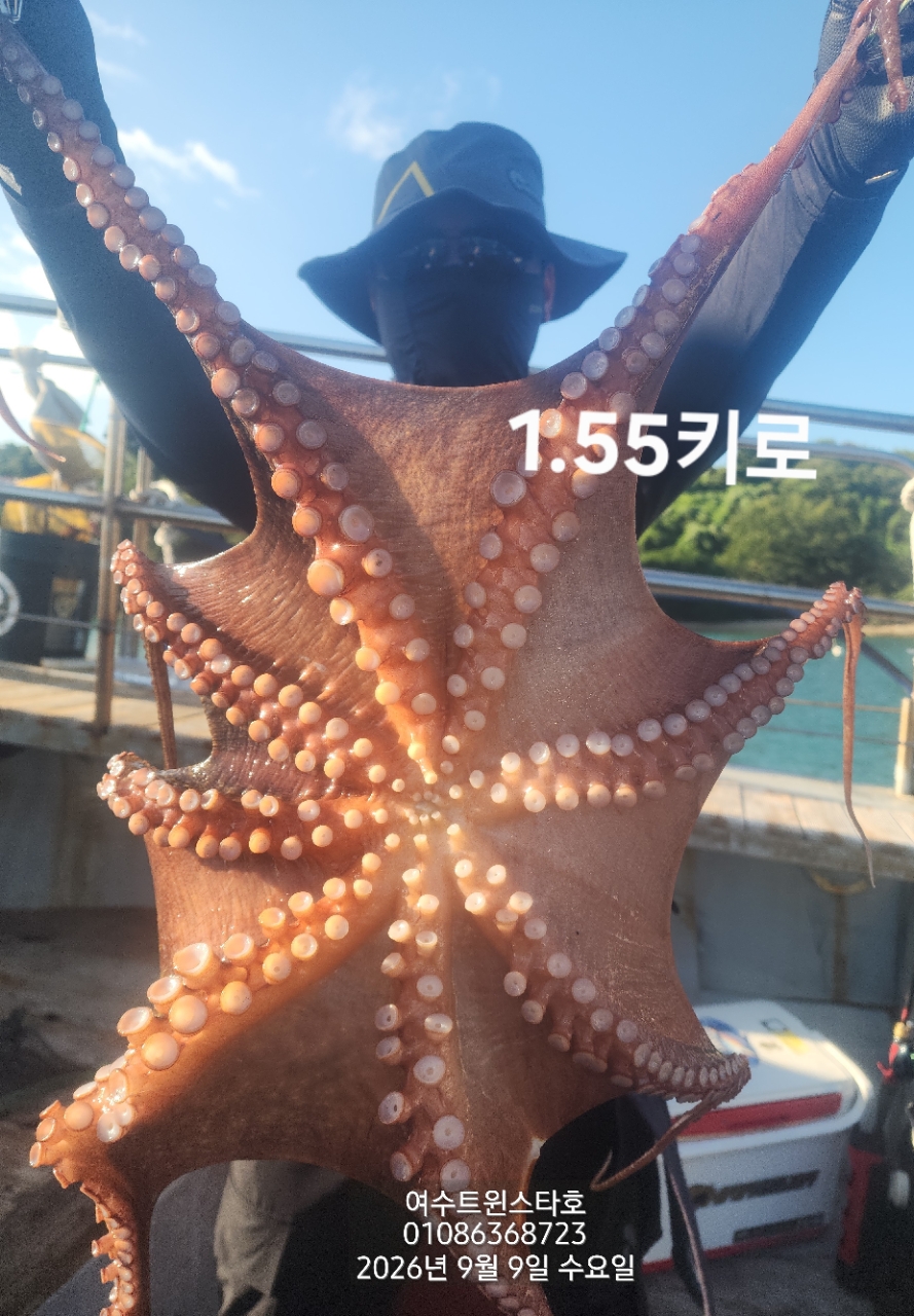 9월 9일 여수 문어 선상낚시 조황 현장 사진 1