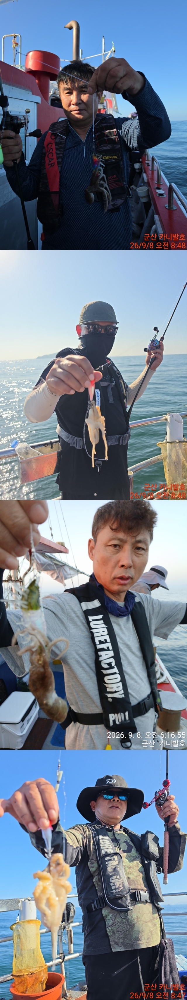 9월 9일 군산 주꾸미 선상낚시 조황 현장 사진 4