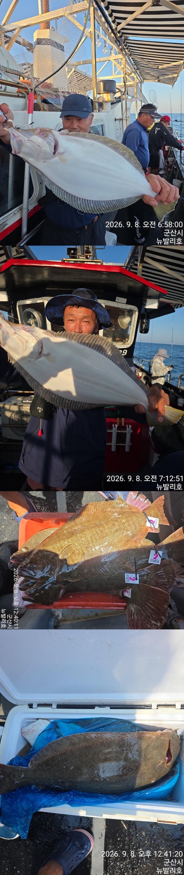 9월 9일 여수 주꾸미 선상낚시 조황 현장 사진 5