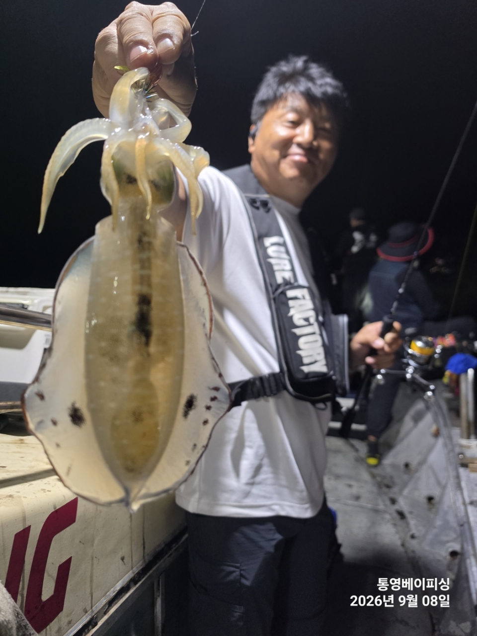 9월 7일 통영 무늬오징어 선상낚시 조황 현장 사진 8