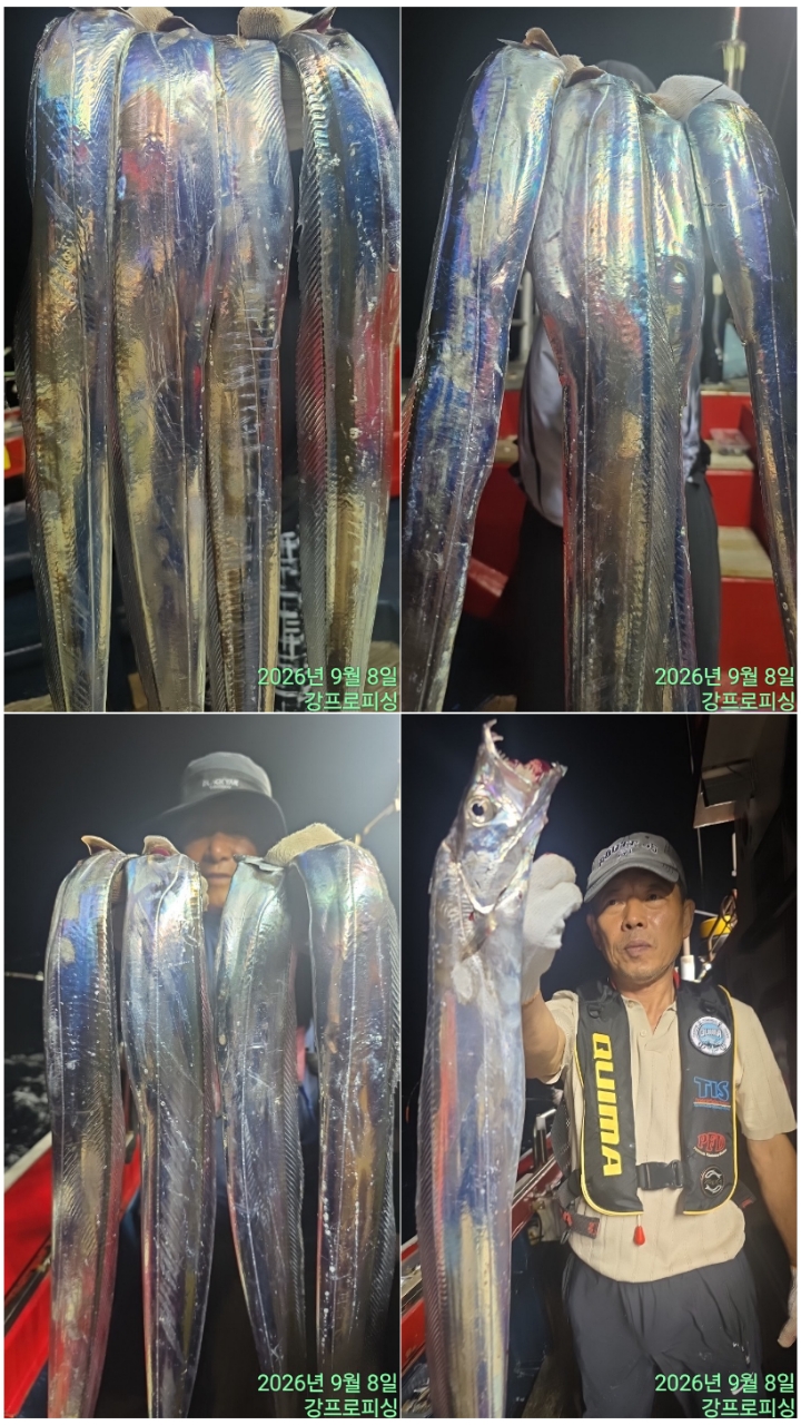 9월 8일 남해 갈치 선상낚시 조황 현장 사진 5