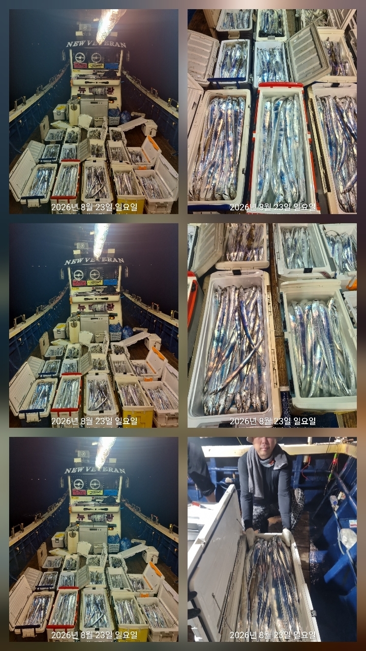 9월 9일 여수 갈치 선상낚시 조황 현장 사진 4