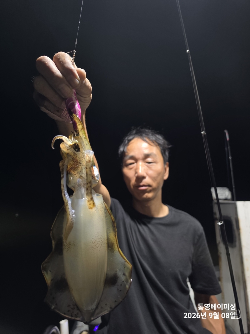 9월 7일 통영 무늬오징어 선상낚시 조황 현장 사진 9