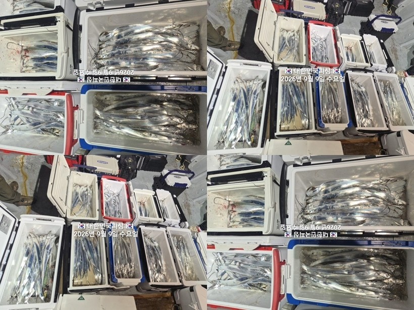 9월 9일 진해 갈치 선상낚시 조황 현장 사진 1