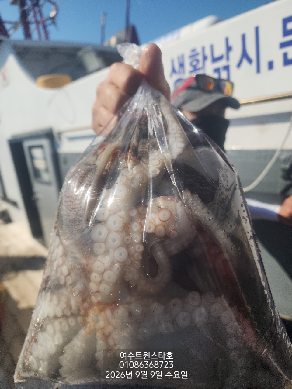 9월 9일 여수 문어 선상낚시 조황 현장 사진 8