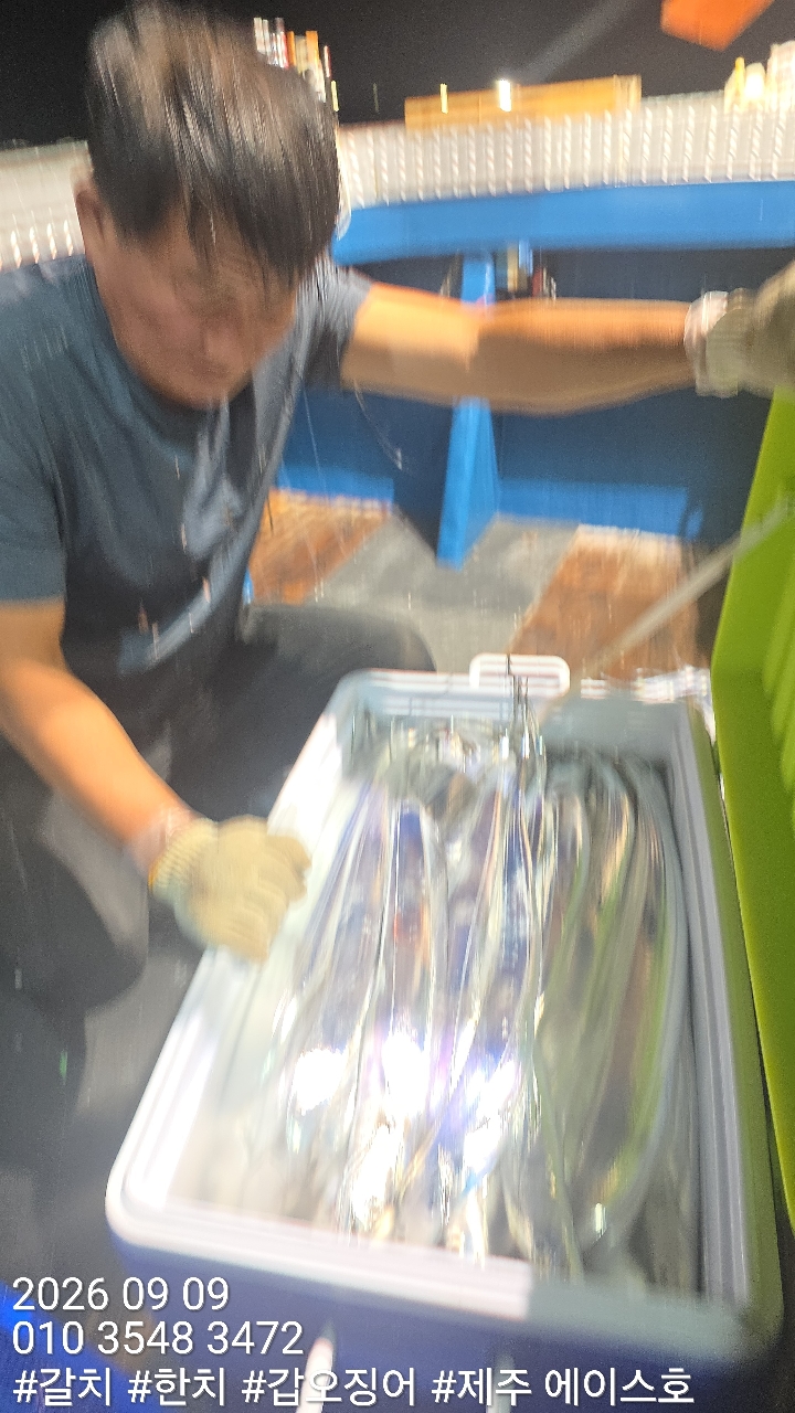 9월 9일 갈치 선상낚시 조황 현장 사진 7
